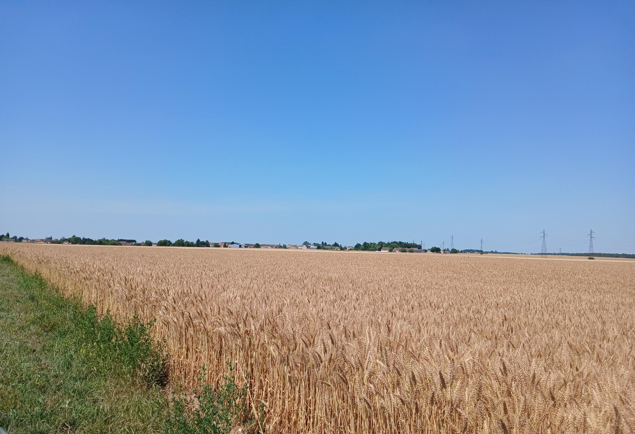 exemple d'une opportunité de projet